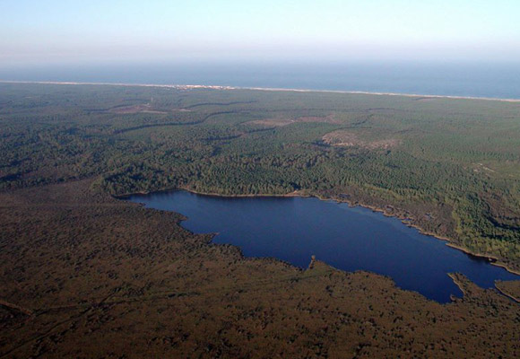 Etang du Cousseau