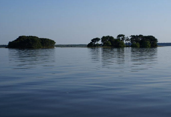 ile lac de lacanau