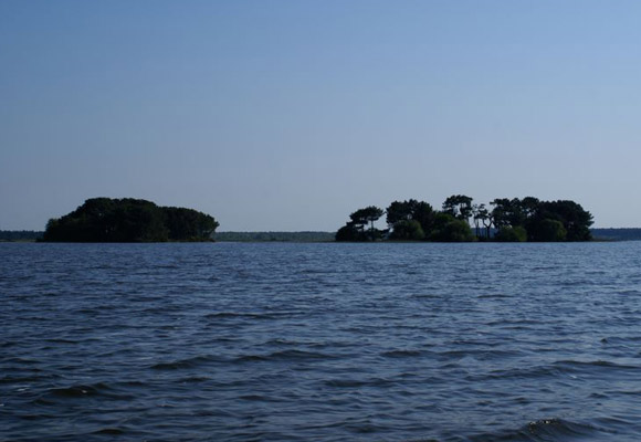 iles aux oiseaux lacanau