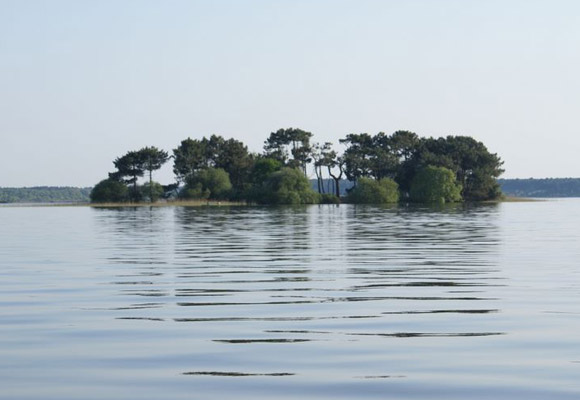 en été le lac de lacanau est généralement