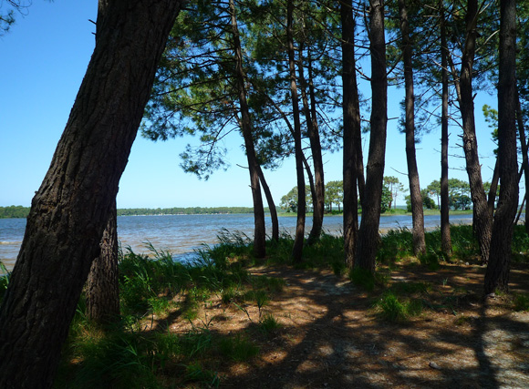plage lac de lacanau