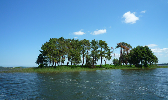 ile lac de lacanau