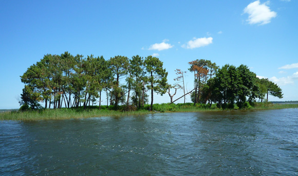 petite ile sur le lac de lacanau