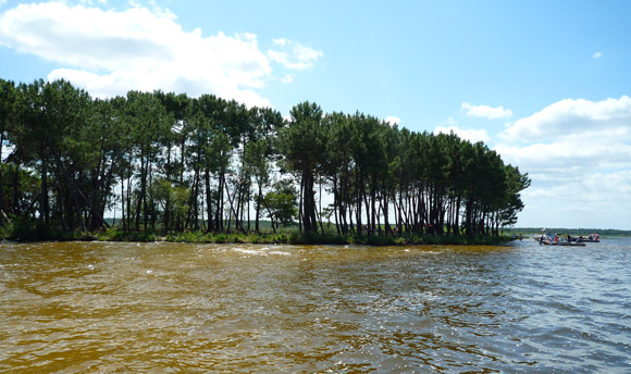 étang de lacanau