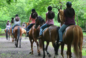 Balade à cheval dans la forêt de Lacanau pres du lac de lacanau