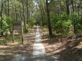 Piste cyclable ancienne (plaque de ciment)