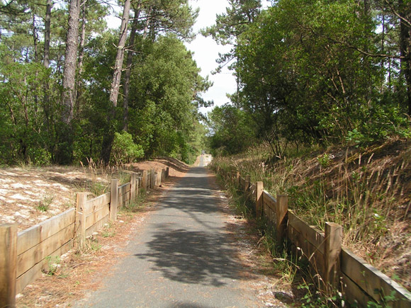 V&eacute;lo et pistes cyclables &agrave; Lacanau