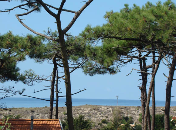 location de maison pres de laplage a lacanau ocean