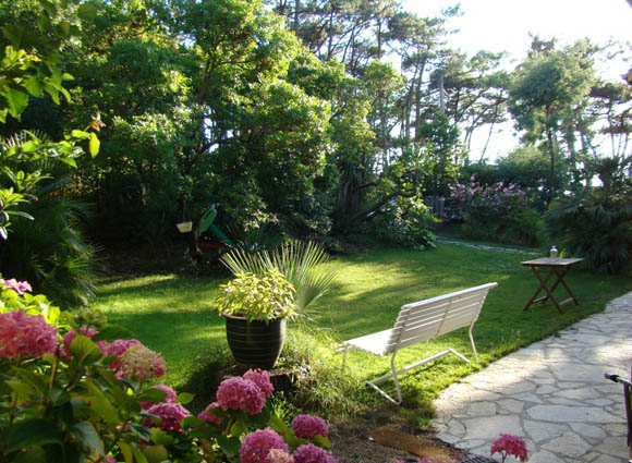 jardin exotique maison a louer a lacanau ocean
