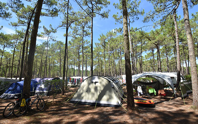 photo camping lacanau : le tedey