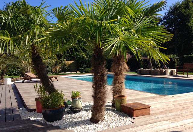 jardin medoc ocean - gazon en rouleau et en plaque