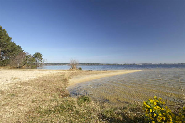 lacanau location - location maison lacanau lac sur la plage tedey