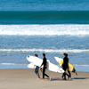 location de planche de surf
