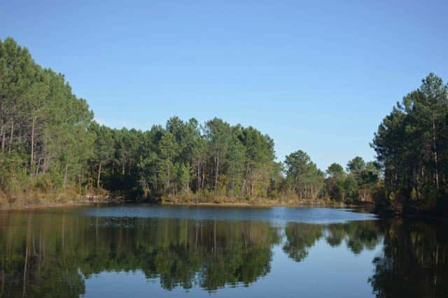 location de pinasse balade sur le lac de lacanau
