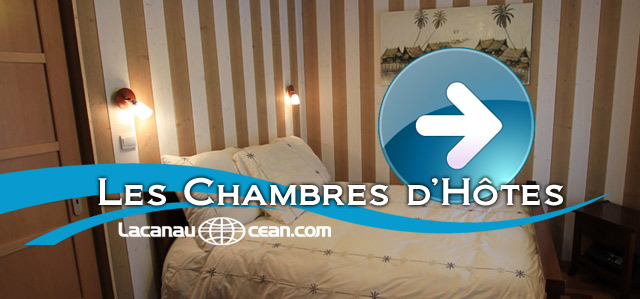 Chambre d'hotes Lacanau