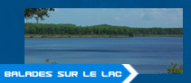 ballade a pied autour du  lac de lacanau