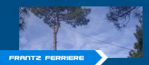 Elagueur et entreprise d' &eacute;lagage &agrave; Lacanau Elagage et abattage d'arbres