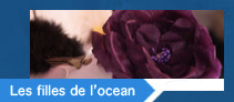 Commerce lacanau m&eacute;doc - les filles de l ocean