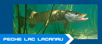 peche lac de lacanau 33