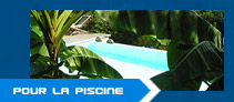 Service pour la piscine &agrave; lacanau construction et entretien