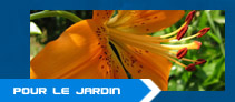 service pour le jardin a lacanau paysagiste elagage