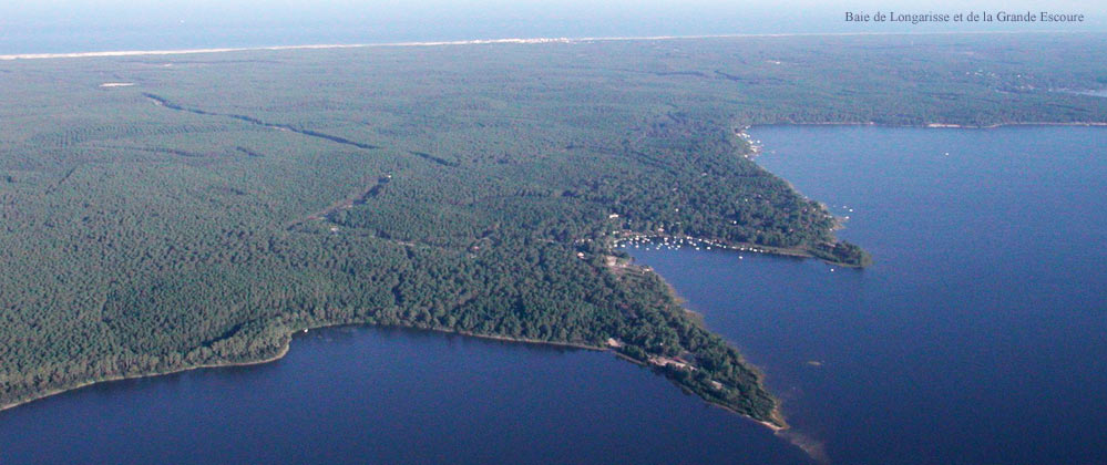longarisse sur le lac de lacanau