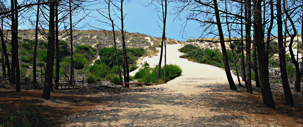 acces à la plage sud à lacanau