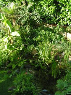 feng shui garden