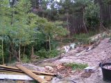 construction de piscine
