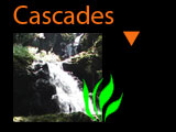 cascades de jardin : les galleries photos