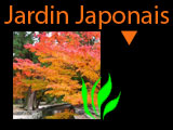 photos de plus beaux jardin