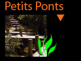 pont et passerrelle de jardin sur les bassins aquatiques