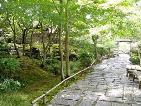 5 allee jardin jardin japonais Gardens 3