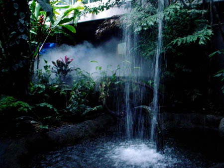 cascade de jardin