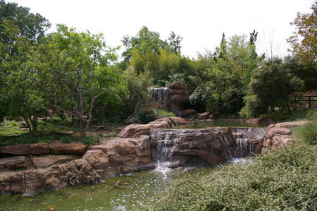 cascades-jardin-jardin-

japonais-Caldwell-Zoo.jpg