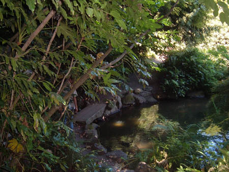 jardin japonais Kaboda
Garden