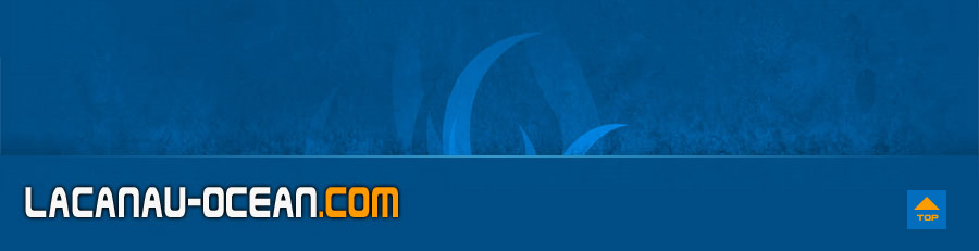 lacanau ocean footer
