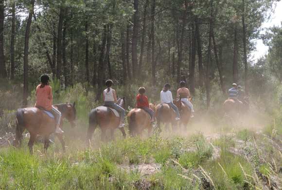 Balade à cheval dans la forêt de Lacanau
