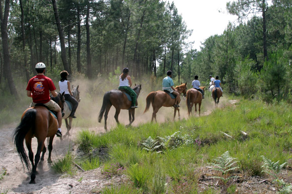 promenade cheval lacanau